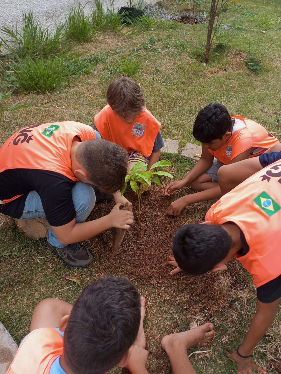 Educação Ambiental 1